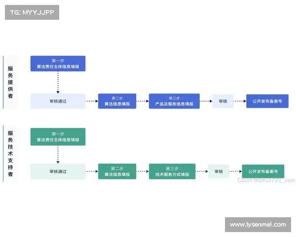 全面解析法甲冠军评选机制的权威指南与详细操作流程全方位攻略指引