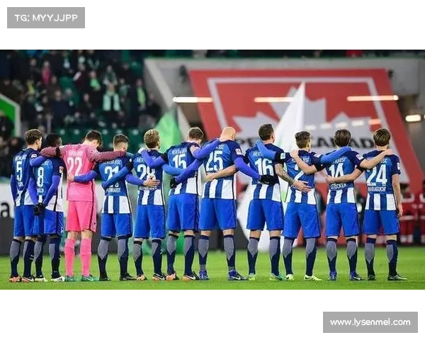 加的夫城足球队联赛历程与历史背景全面分析